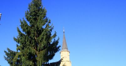 Megérkezett a főtéri karácsonyfa