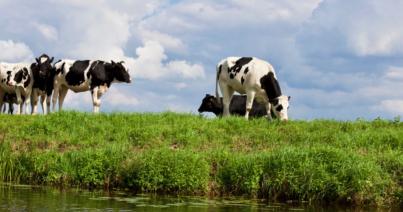 Online igényelhető az agrártámogatás