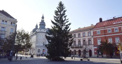 Áll a Főtéren a vásárkárpótló karácsonyfa