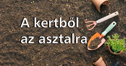 A kertből az asztalra fejléc