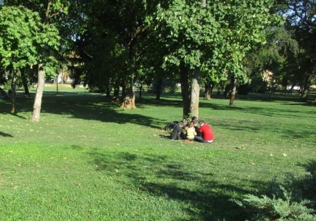 Tizenöt iraki migráns a Temesvár központjában levő parkban