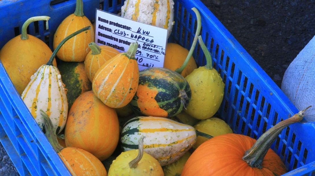 Méz, must, bundák, zöldségek és szilvásgombóc a terményvásárban