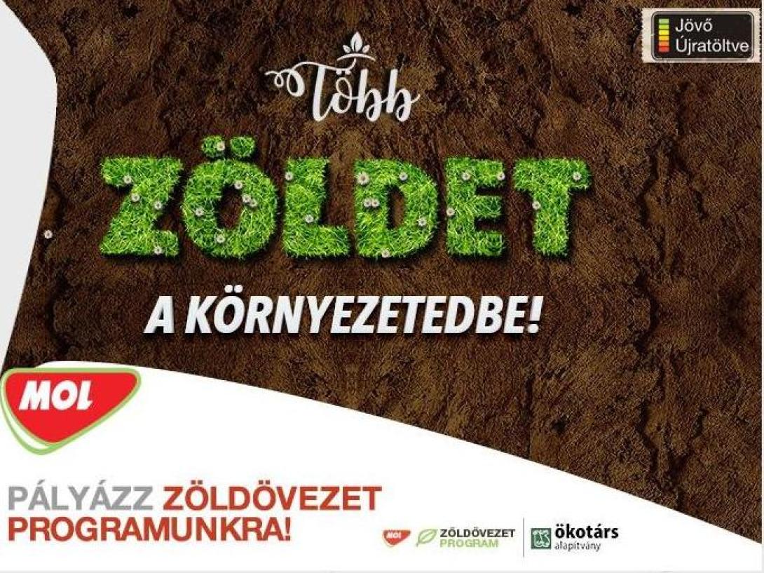 Zöldövezet program: közel 700 ezer lej környezetvédelmi projektekre