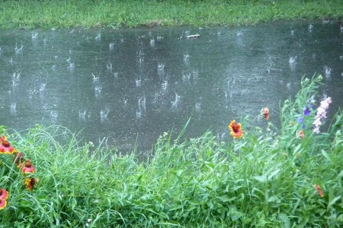 Záporokra, viharokra figyelmeztet az Országos Meteorológiai Szolgálat