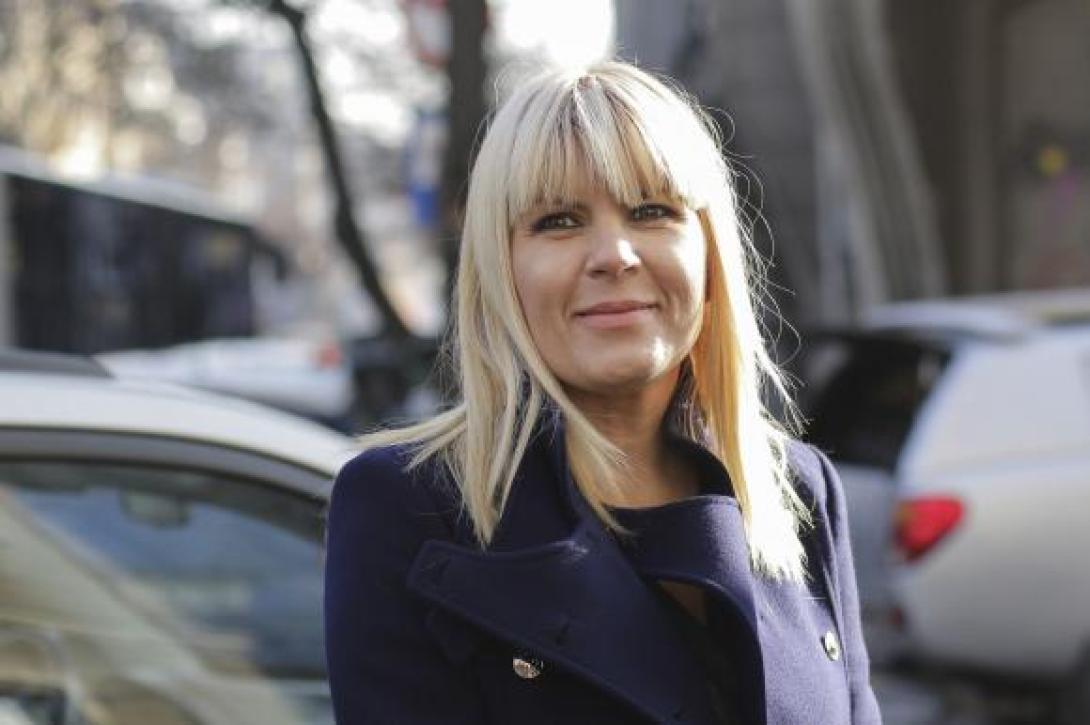 Hat év börtönre ítéltek Elena Udreat