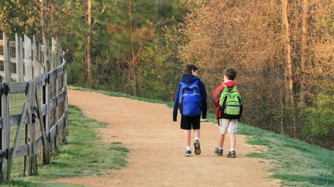 Továbbtanulna egyetemen a Kolozs megyei vidéki lányok többsége, a fiúknak alig fele