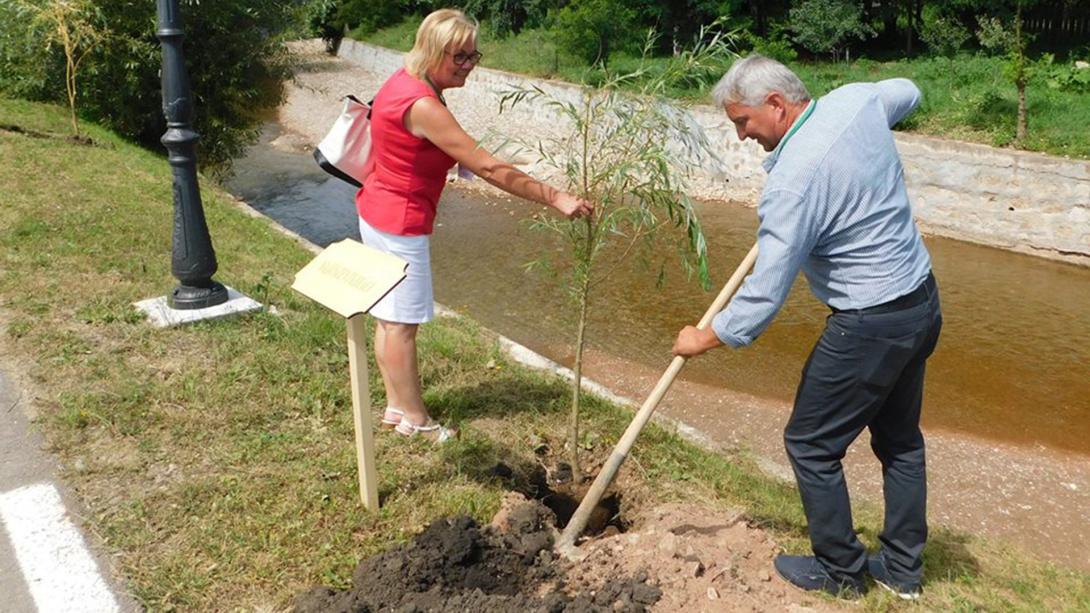 Szentkirályok találkozója: ország­határokon átívelő értékteremtés