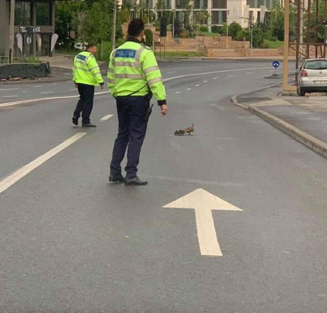 FOTÓ, VIDEÓ – Miért állították le ma a forgalmat a Iulius Mall környékén?