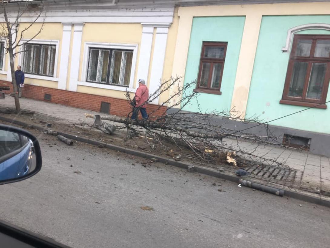 Levált utánfutó döntötte ki a fákat a Mócok útján