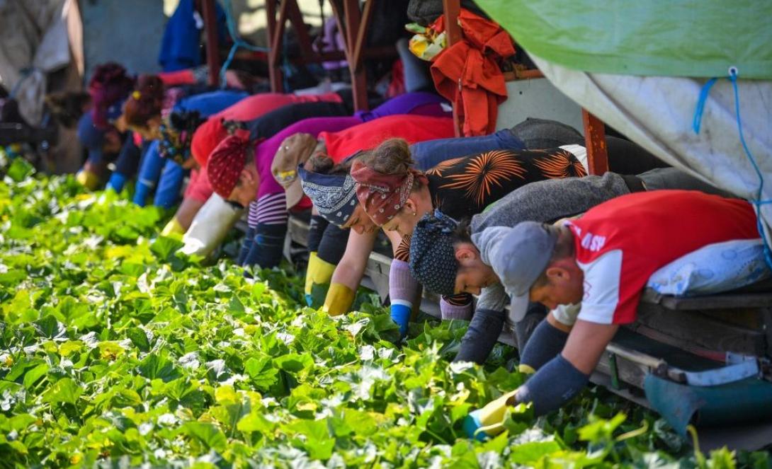 A spárga fölöttébb szükséges voltáról