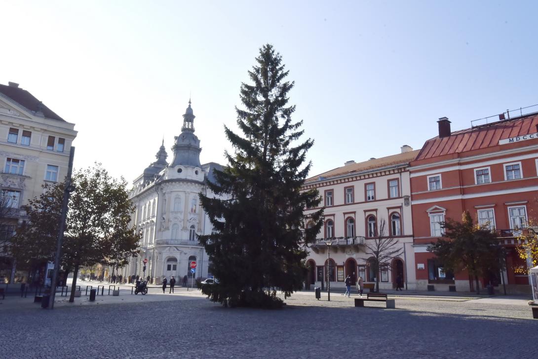 Áll a Főtéren a vásárkárpótló karácsonyfa