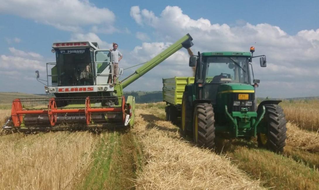 Valós helyzetképet várnak  a mezőgazdasági összeírástól