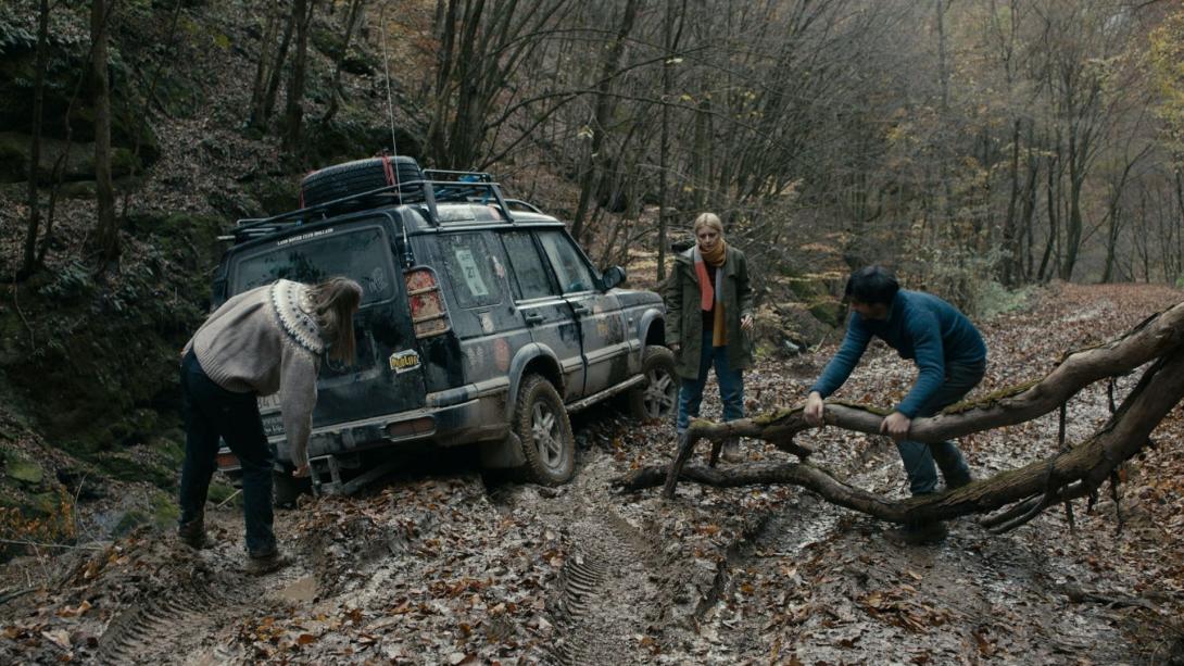 Román filmek maratonja a Transilvania Nemzetközi Filmfesztiválon