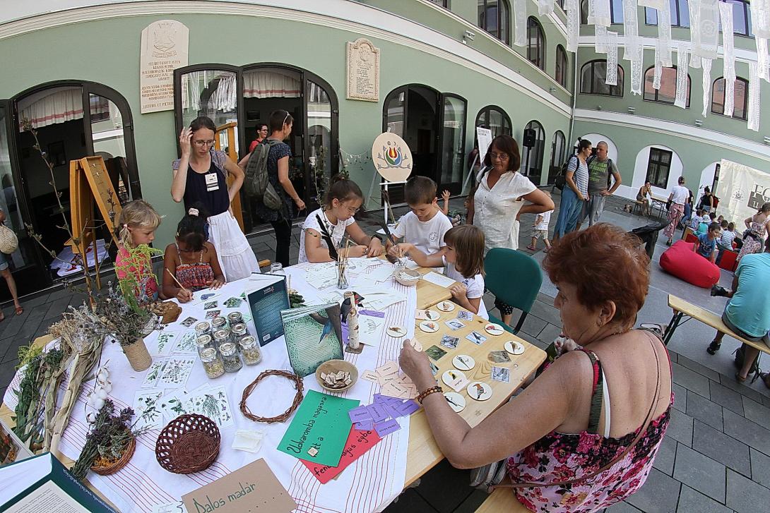 KMN - Kézműves, családi és gyerekprogramok