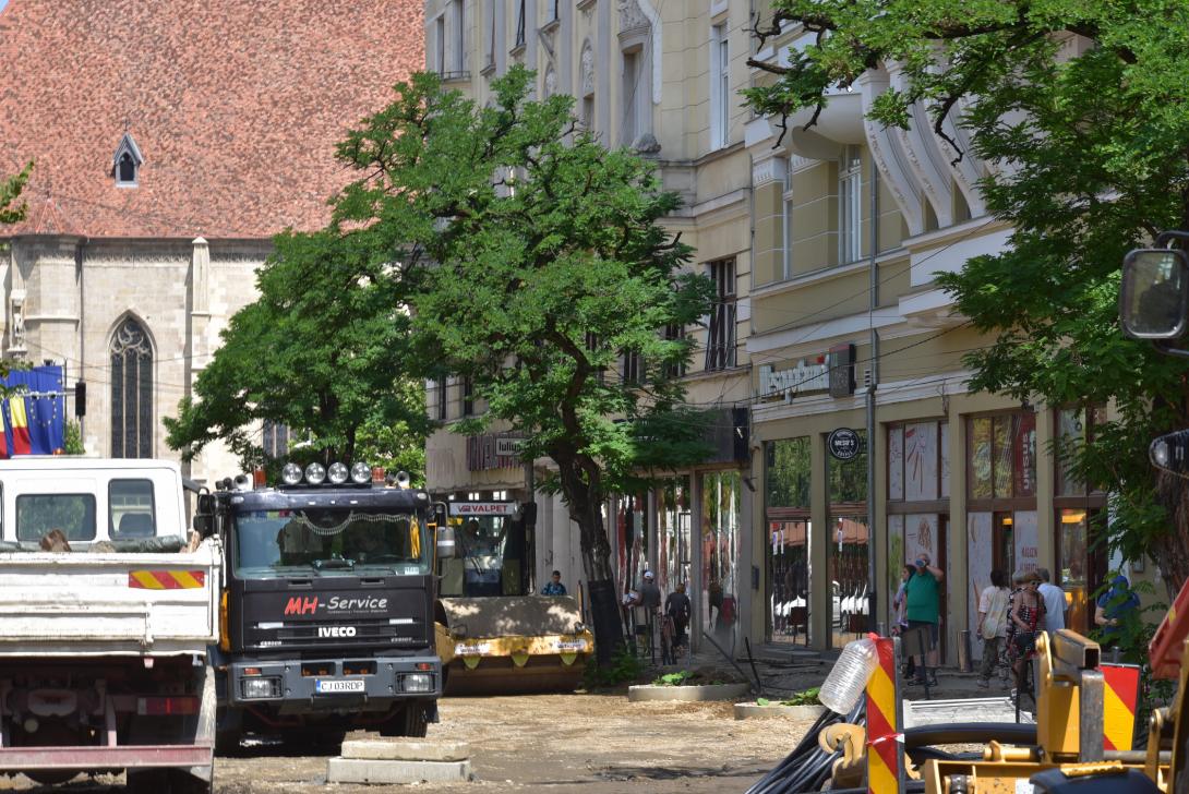 Maradnak a fák, csak kettőt költöztetnek el az Egyetem utcából