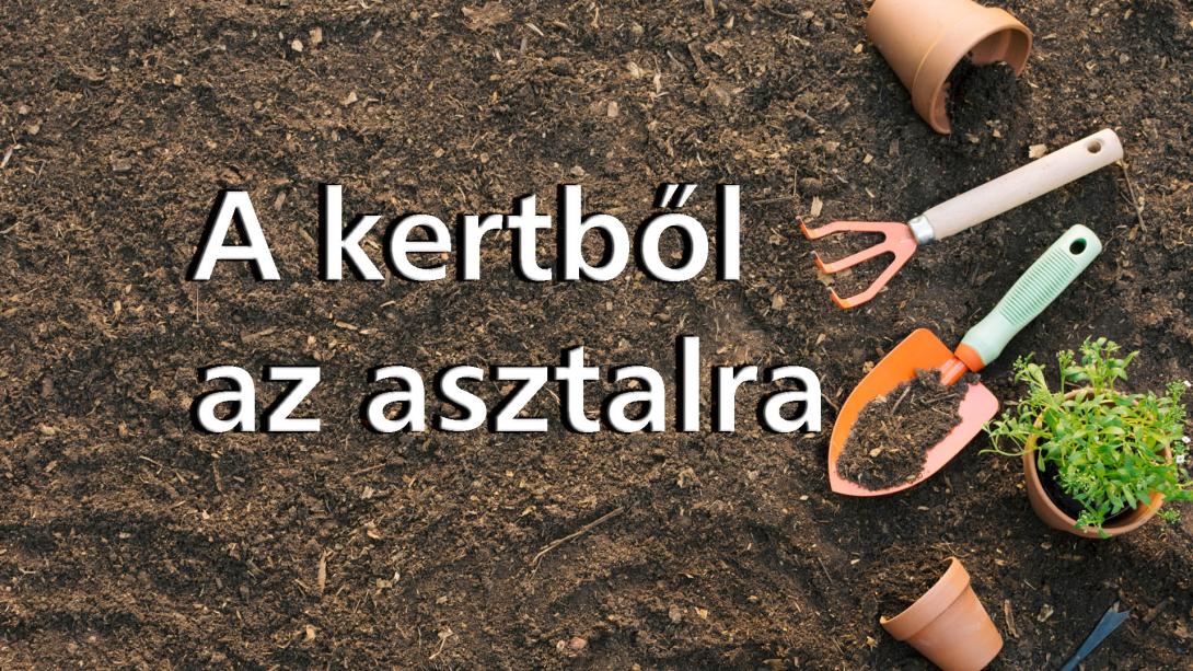 fejléc, a kertből az asztalra